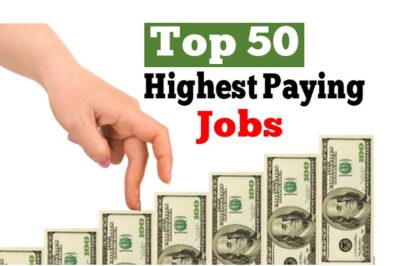 What Are The High-Paying job profiles In the IT field?